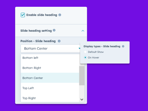 Captions Display Options [Top Left, Top Center, Top Right & so on..]