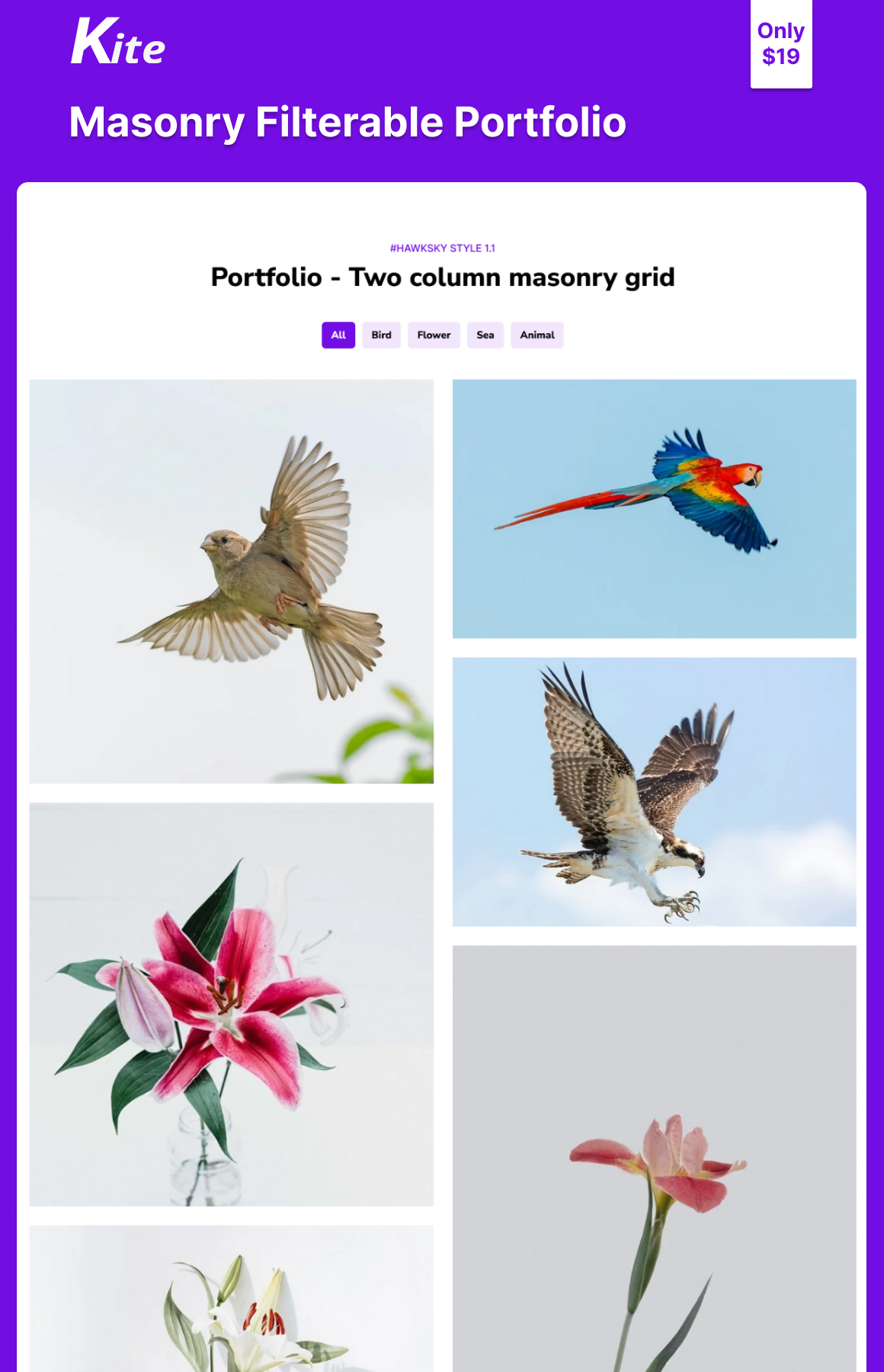 Masonry Filterable Portfolio Preview image